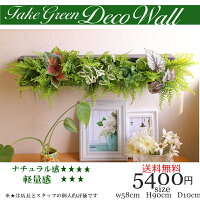 お洒落セレクトインテリアカフェ風壁掛けナチュラルフェイクグリーン超軽量インテリアグリーン壁面緑化ナチュラル人工観葉植物素敵家具壁掛けブラックスチロール5400円送料無料大量注文可能造花インテリアぞうかギフト対応壁掛け置き型領収書発行