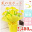 優しいHappy*yellow 菜の花ポット 送料無料 お手入れ要らず* 明るい 菜の花 造花 シルクフラワー 春 装飾 可愛い 風水 金運 縁起がいい 贈り物 ギフト ラッピング無料 送料無料 2480円 大量注文可能 菜の花 造花 鉢植え 3000円以内 菜の花 造花
