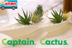 【店内全品ポイント5倍】ゆ〜らり♪サボテン船長!!ボート方の花器が可愛い!ナチュラルインテリア【2個セット2980円】【多肉フェイクセットアレンジ】【レビューを書いて送料無料】【清潔感あふれる真っ白な花器】【ミニ多肉インテリア】【大25cm】【小2cm】