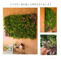 造花グリーンパネル送料無料人工観葉植物グリーン壁掛けLサイズ壁面飾りインテリアグリーン壁掛けナチュラルグリーンフェイク店舗装飾壁緑壁掛けおしゃれ楽天インテリアグリーン通販ディスプレイ横幅90cmフェイクグリーン触媒加工消臭