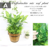 屋外対応◎ウォータープルーフ加工造花プランター屋外仕様人工観葉植物フェイクグリーン木製鉢寄せ植え造花選べる5種類ディフェンバキアポトスゼブラバラン造花装飾施設店舗お庭ディスプレイ大量注文可能グリーンフェイク本物そっくり領収書発行