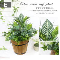 屋外対応◎ウォータープルーフ加工造花プランター屋外仕様人工観葉植物フェイクグリーン木製鉢寄せ植え造花選べる5種類ディフェンバキアポトスゼブラバラン造花装飾施設店舗お庭ディスプレイ大量注文可能グリーンフェイク本物そっくり領収書発行