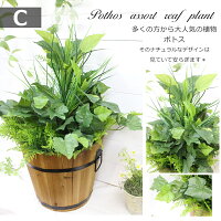 屋外対応◎ウォータープルーフ加工造花プランター屋外仕様人工観葉植物フェイクグリーン木製鉢寄せ植え造花選べる5種類ディフェンバキアポトスゼブラバラン造花装飾施設店舗お庭ディスプレイ大量注文可能グリーンフェイク本物そっくり領収書発行
