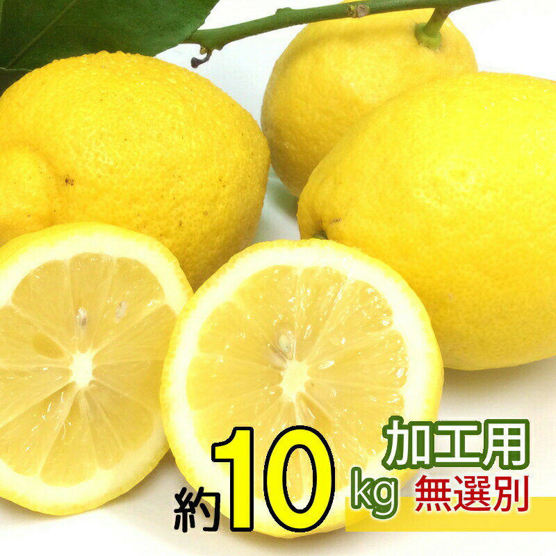 農園直送 うえがみ農園 広島県大長産レモン 訳あり 約10kg サイズいろいろ 加工用 グリーンレモンから11月末頃黄色へ 送料無料 国産レモン 広島県大崎下島...