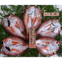 産地直送 島根県沖産 のどぐろ一夜干 5〜6枚(約410g) 送料込み (冷凍) ギフト 干し物 お取り寄せ 岡富商店