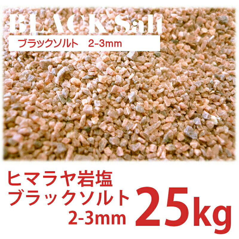 ヒマラヤ岩塩 ブラックソルト 2-3mm 25...の紹介画像2
