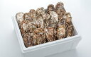 産地直送 広島産 殻付きかき 5kg(32～40個) クール便 加熱用 宮島近海で獲れた大粒かき 送料込み カキ 牡蠣 (株)アミスイ