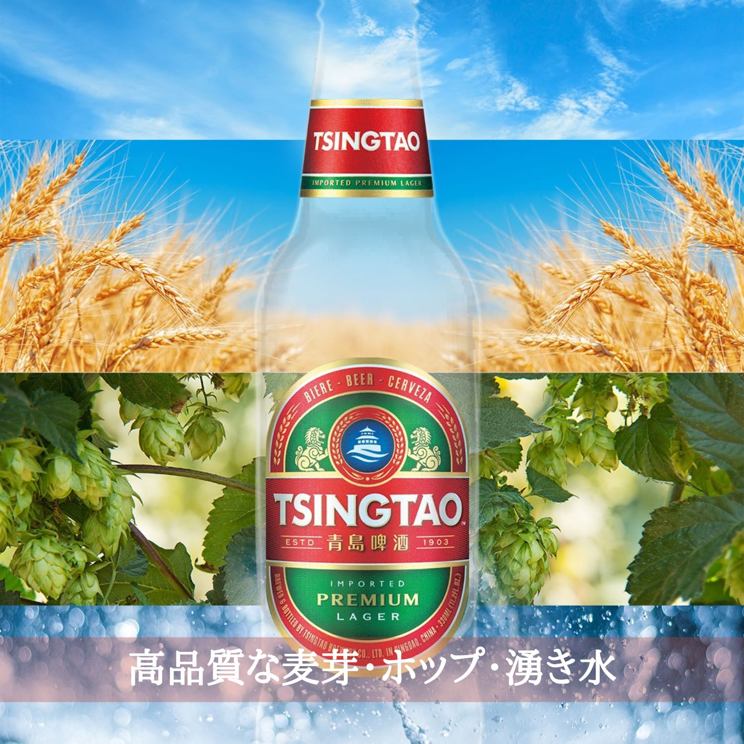 中国 青島スタウト6本BOX (330ml x 6本入)クラフトビール 世界のビール 海外ビール 中華 チンタオ アジアビール 正規輸入品 Tsingtao Beer Stout China