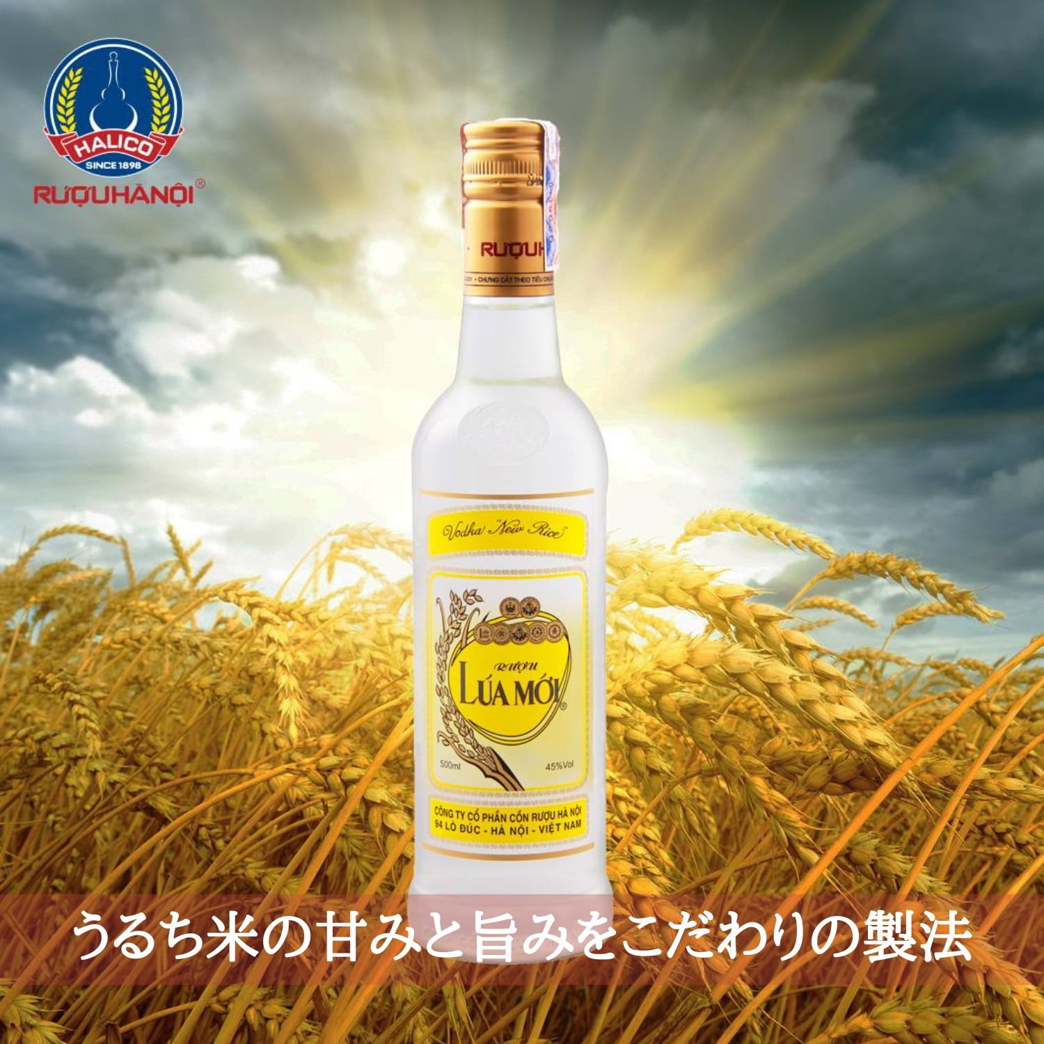ベトナム スピリッツ・ルアモイ (700ml瓶 x 12本入)スピリッツ ウオッカ ウォッカ 正規輸入品 LuaMoi Vodka Vietnam