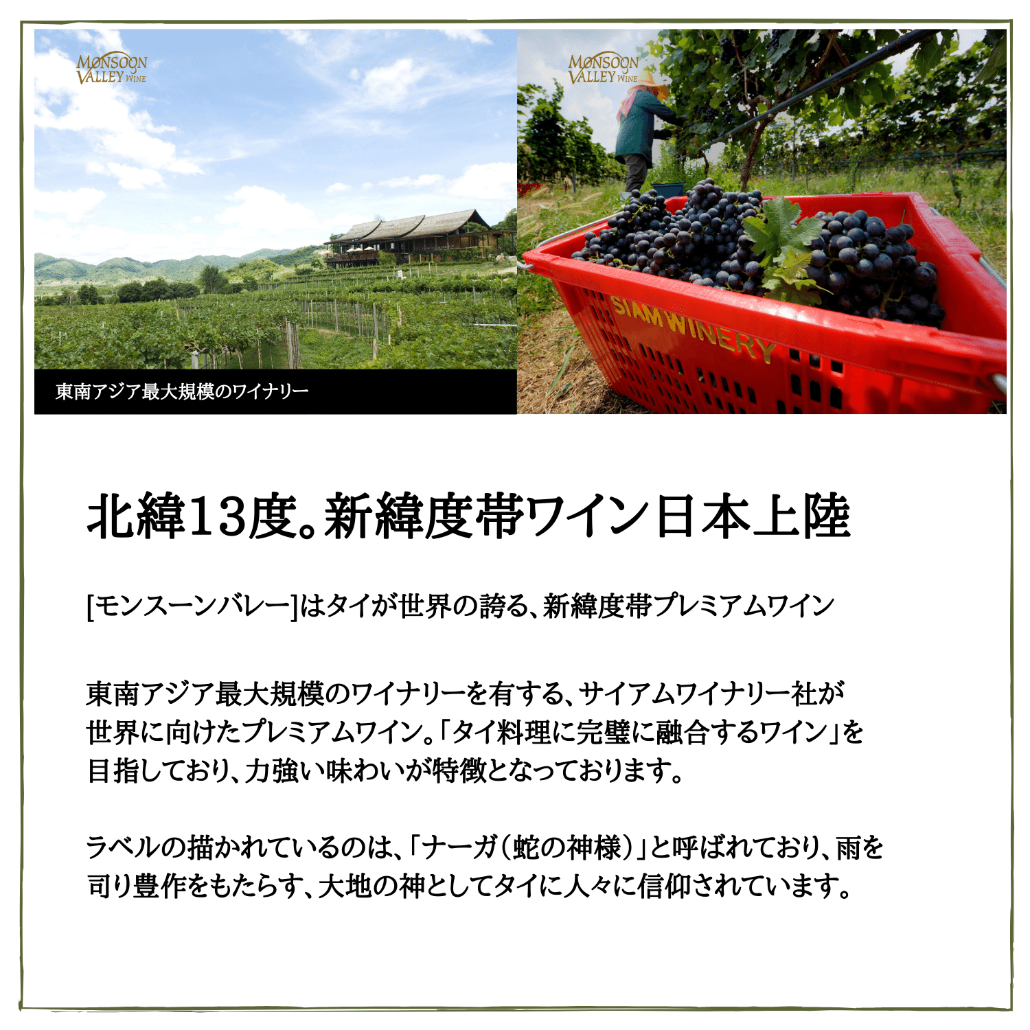 最新の激安 新緯度帯ワイン モンスーンバレー シラー 赤ワイン 辛口 タイ 750ml 6本 国内配送 Www Ugtu Net