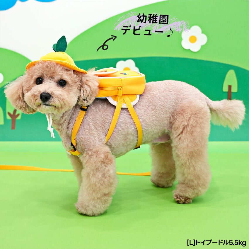 【メール便送料無料】 犬 ハーネス 犬用 リード 幼稚園 通気性 お出かけ 散歩 胴輪 かわいい メッシュ 小型犬 セール ParisDog パリスドッグ 正規品 WSISTERS ダブルシスターズ 【幼稚園リュックハーネス帽子セット】 3