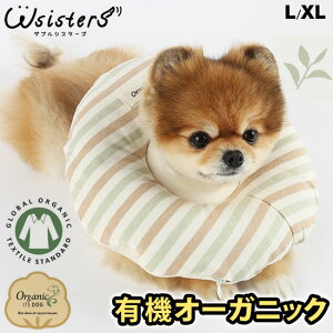 犬用エリザベスカラー｜おしゃれでかわいい！ストレスフリーなエリカラでおすすめは？