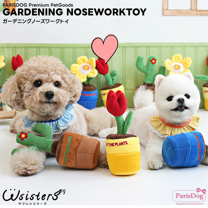   Ρ ΰȥ Ĥ ƥå 襤 ͵   ParisDog ѥꥹɥå  WSISTER...