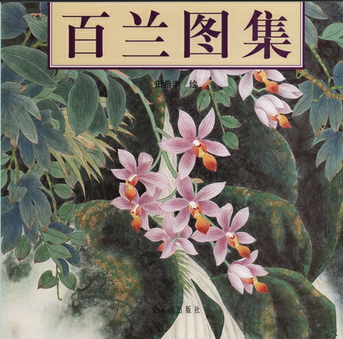百蘭絵集は栄宝齋出版社から出版した蘭の絵集です。 中国歴代の文人墨客が梅蘭竹菊を四君子と呼ばれてます。 出版社:栄宝齋出版社 編著者:田希豊 出版日:2009年6月 言語:中国語(簡体) ページ:66 商品サイズ：B4　25.6 x 24.8 x 0.9cm 商品重量:540g 発送方法：メール便 ※輸入商品です。 出版(製造)年が古いものにつきましては中古品では無いものの経年劣化が見られる場合がございます。 程度の甚だしいものにつきましてはご注文の際にご確認させて頂きます。 弊店では店舗販売も同時に行っています。 商品が売り切れ場合も御座いますので予めご了承ください。