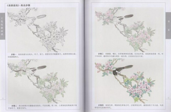 春夏　工筆線描画譜　白描画稿　大人の塗り絵　中国絵画 3