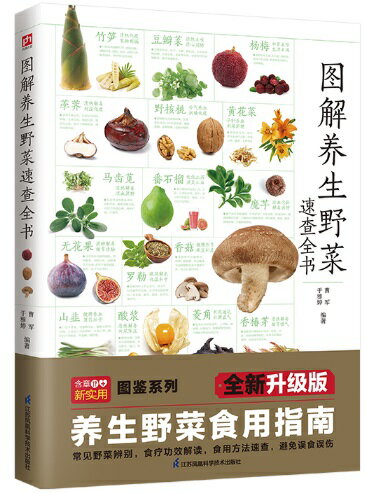 図解養生野菜速査是全書　健康養生　中国語版書籍/&#22270;解&#20859;生野菜速&#26597;全&#20070;　野..