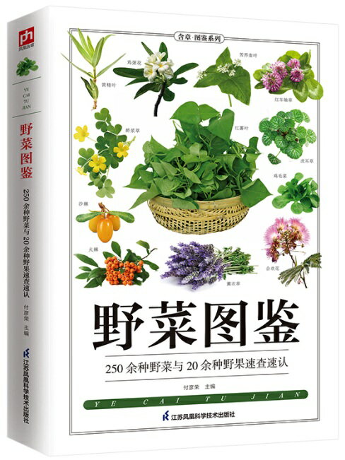 山菜図鑑　山菜大全書　250余り山菜及び20余り野木の実速査速認　中国語版書籍/野菜&#22270;&#37492;　..