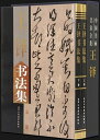 王鐸書道集 上下2冊 中国書画名家全集 中国語版書道字典/王铎书法集 上下卷16开 函套铜版纸彩印精装2册