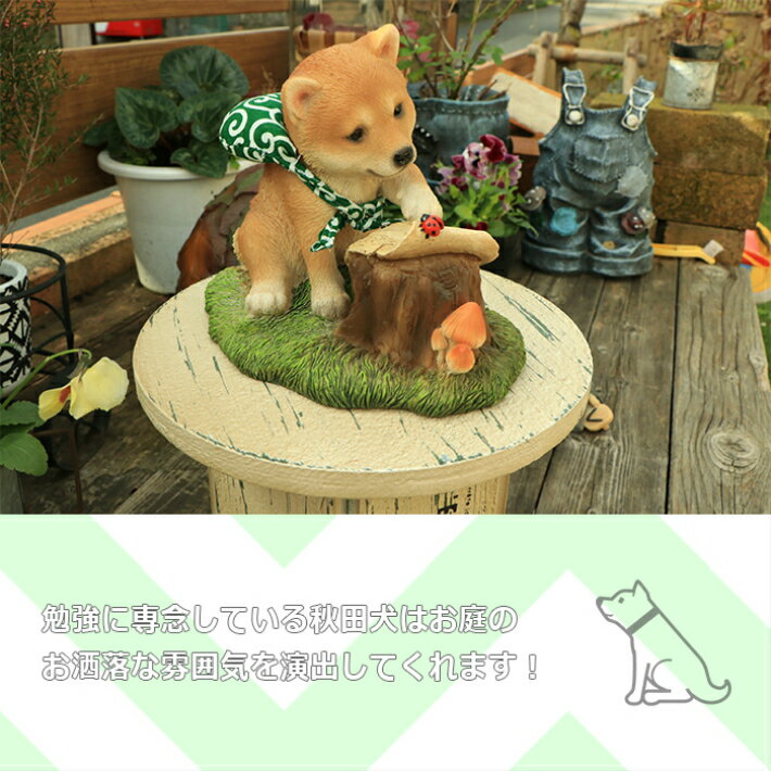 �ڤ��㤤ʪ�ޥ饽������̵���ۼƸ���ʪ �Ƹ����֥��� ���襤���Ƹ� �Ƹ����֥��� ���֥��� �� �Ƹ� ��ιB �Ƹ��ե����奢 ������ ���ǥ����� �� ���� �����ʥ��� �ɥå� ������ʪ 13475