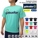 プラシャツ 【goleador】 ゴレアドール 半袖 ベーシック プラクティス シャツ 【サッカー フットサル SOCCER ユニホーム メッシュ 速乾 吸汗 個サル シャツ Tシャツ TEE ロゴ プリント メンズ レディース ジュニア おしゃれ ビッグシルエット】