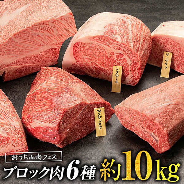 圧巻の塊肉！おうちで肉フェス！小形牧場牛ブロック肉6種！一括発送　送料無料