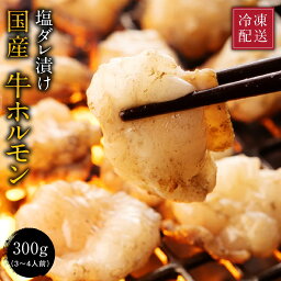 ホルモン焼き 黒毛和牛 国産 塩ダレ漬け 300g（3~4人前） 冷凍配送 焼肉 ごはんのおとも ギフト にどうぞ！