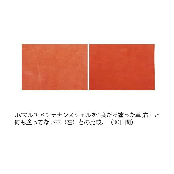 ローリングス UVマルチ メンテナンスジェル 230g EAOL11S01