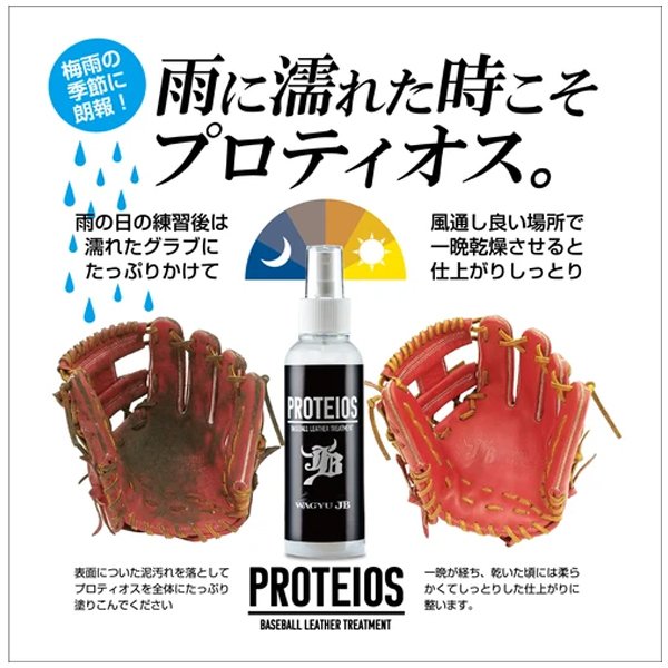 送料込み【お得 詰め替え用300ml】プロティオス ボールパークドットコム 和牛JB 野...