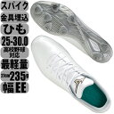 白スパイク ミズノ MIZUNO 野球 ソフトボール 樹脂底 金具 埋込スパイク 軽量 ひも 2E ホワイト ユニセックス ライトレボエリート 11GM211101