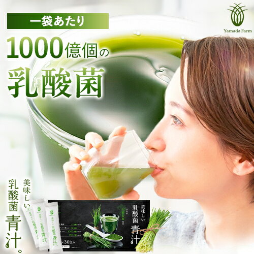 乳酸菌 1,000億個 青汁 30包 乳酸菌青汁 九州産 大麦若葉 青汁 粉末 京都産 抹茶 国産 腸活 国産青汁 あおじる 健康 美容 手軽 ダイエット ドリンク 栄養補給 飲みやすい 美味しい おいしい 個包装 食品 SSS