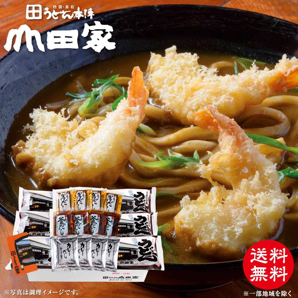 送料無料　カレーだし新登場！スパイス薫る山田家特製カレーうどんと本造りだしセット　冷凍讃岐うどん［12人前］【R…