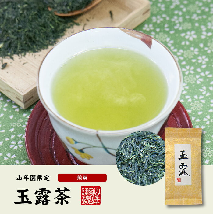 【高級】玉露茶 京都府宇治市 100g×6袋セット 送料無料 国産100% 日本茶 茶葉 玉露 緑茶 ダイエット 無添加 ギフト プレゼント 内祝い お返し 母の日 父の日 プチギフト 2024 お茶 男性 女性 父 母 お祝い 誕生日 お礼 2