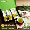 日本茶 お茶 茶葉 参拝茶100g×4袋+掛川深蒸し茶100g×8袋セット 送料無料 カテキン 国産 葉酸 緑茶 煎茶 茶葉 日本茶 贈り物 ギフト お中元 御...
