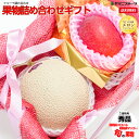 クール便発送 宮崎産高級マンゴー 静岡産高級マスクメロン クール便送料無料 のし対応 プレゼント 誕生日 ギフト 贈り物 お祝い 内祝い 出産祝い お供え 景品 お見舞い 手土産 送料無料 のし対応 御中元 お中元 お盆 プレゼント あす楽 お供え フルーツ 果物詰め合わせ