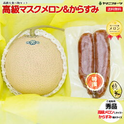 ★[ご進物用] 高級マスクメロン1玉&からすみ 特大サイズ 約260g〜300g 1個入り【送料無料/のし対応】[プレゼント 誕生日 ギフト 贈り物 お祝い 内祝い 出産祝い お供え 景品 お見舞い 手土産]