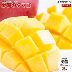 ★[ご進物用/秀品] 宮崎県産マンゴー 太陽のタマゴ 青秀品 3L以上の大玉【送料無料/のし対応】【宮崎県特産品】[プレゼント 誕生日 ギフト 贈り物 お祝い 内祝い 出産祝い お供え 景品 お見舞い 手土産などに]