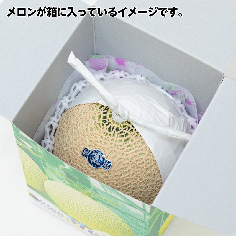 【山1玉】 最高級大玉(1.5kg前後～) 送料無料 法事 お供 お供え 果物 プレゼント メロン あす楽 誕生日プレゼント 誕生日 お見舞 御礼 お祝 ギフト 内祝 退院祝い 贈答用 贈り物 静岡産 マスクメロン
