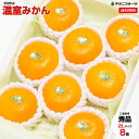 クール便送料無料! 高知県産 温室みかん 【2Lサイズ 8個入り】 セール ハウスミカン 御供 ご供物 ありがとう 送料無料 プレゼント 誕生日 ギフト 贈り物...