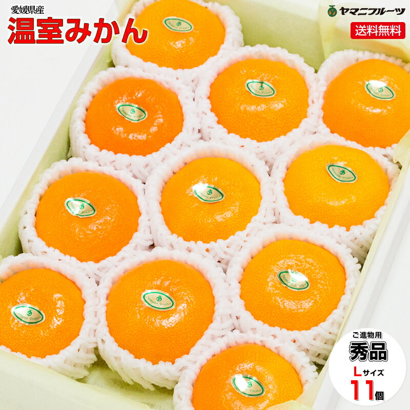 クール便！ sale! 温室みかん 【Lサイズ 11個入り】 セール ハウスミカン 残暑見舞い ありがとう 送料無料 プレゼント 誕生日 ギフト 贈り物 お祝い 内祝い 出産祝い お供え 景品 お見舞い 手土産のサムネイル