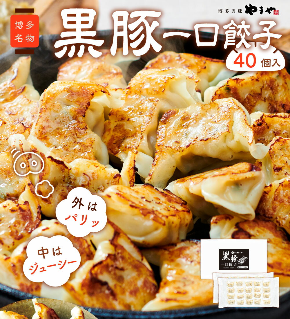 やまや 黒豚一口餃子40個入(九州 お取り寄せ グルメ おつまみ ご飯のお供 手土産) 2