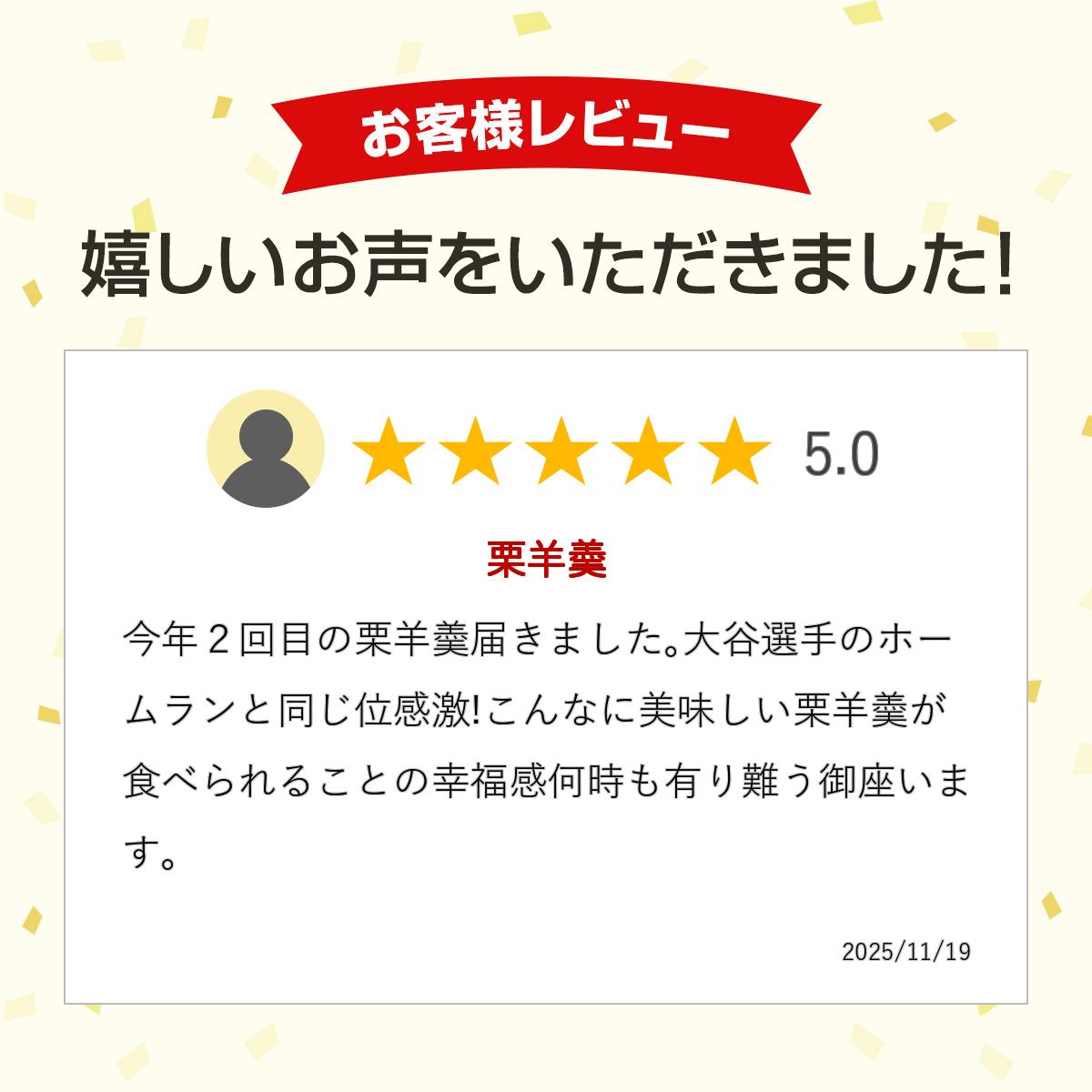 やまざき 手包み ようかん 特撰羊羹 栗 羊羹...の紹介画像3