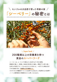 【サジークリーム】グアマラルシーベリークリーム30g内外美容オーガニックスキンケア保湿乾燥肌敏感肌コスメ海洋プラセンタ配合)