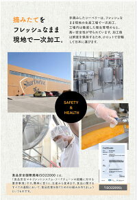 【サジークリーム】グアマラルシーベリークリーム30g内外美容オーガニックスキンケア保湿乾燥肌敏感肌コスメ海洋プラセンタ配合)