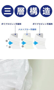 日本 在庫あり 即納 あす楽 50枚入り×2箱 100枚セット 3層構造 3D立体加工 mask レギュラーサイズ 男女兼用 防護 花粉症 花粉 ほこり マスク 高性能フィルター ノーズワイヤー ★★転売禁止★★他の商品と同梱不可★★