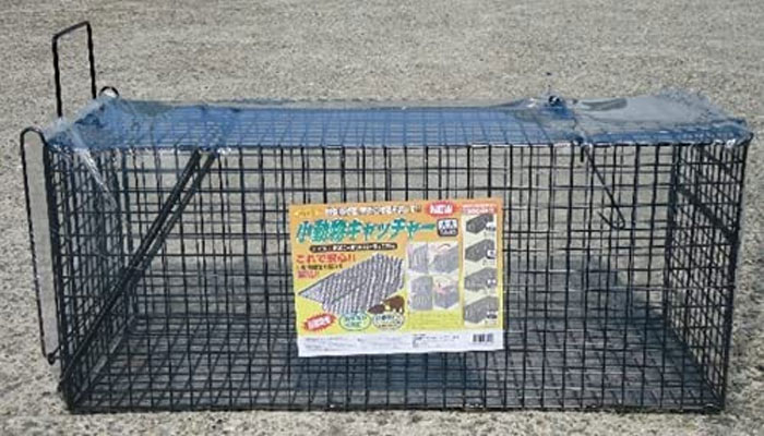 小動物キャッチャー　大大　114944　捕獲器［4995345029990］W42×D115×H52cm 【頑張って送料無料！】のサムネイル