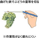 yminfo:10133568のサンプル画像2