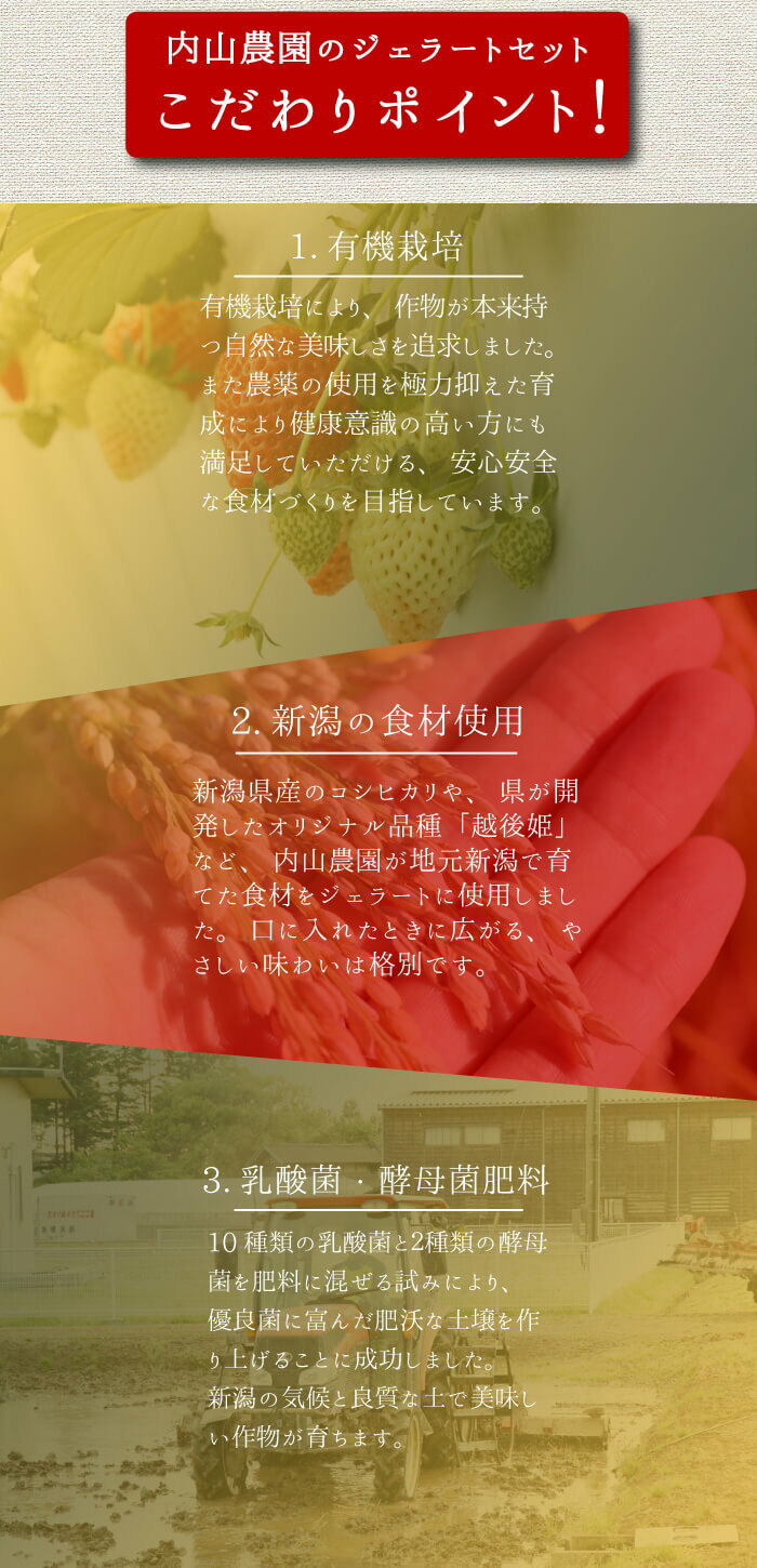 【低農薬・有機栽培】新潟県産食材を使用した内山農園のジェラートセット!6種類のフレーバーをお届け!いちご、お米、かぼちゃ、紫いも、あずき、枝豆のアイスオーガニックマクロビオティックプレゼント・贈答用にも最適【頑張って送料無料!】