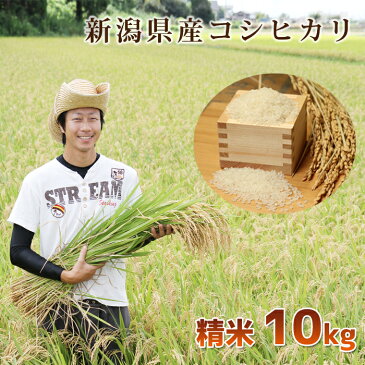 【頑張って送料無料！】新潟県産内山農園のコシヒカリ！こしひかり 精米10kg非コシヒカリBLで昔からあるコシヒカリ本来の旨味！オーガニック マクロビオティック乳酸菌・酵母菌肥料でツヤ・ハリのあるお米に！＜令和元年産／完全無農薬・有機肥料＞