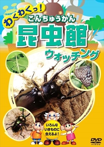 新品 わくわくっ!昆虫館(こんちゅうかん)ウォッチング / (DVD) KID-1404