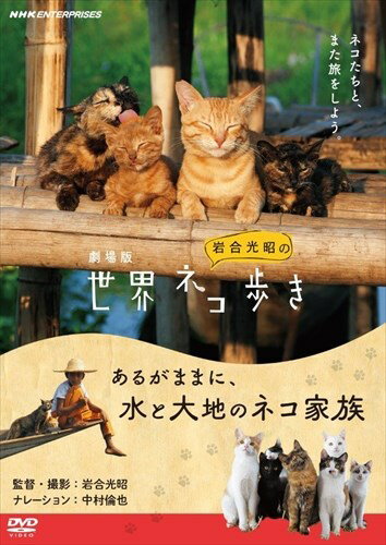   ͥ⤭ 뤬ޤޤˡϤΥͥ² / (DVD) NSDS-25166